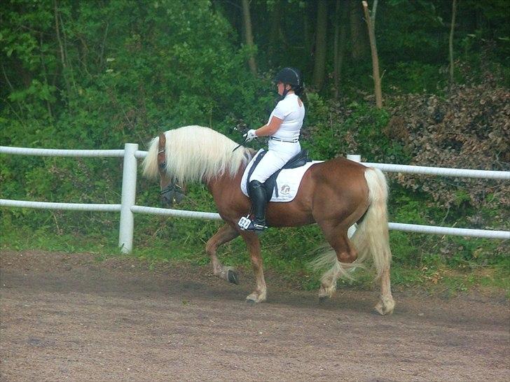 Sara Haupt & William HAH 19 billede 23