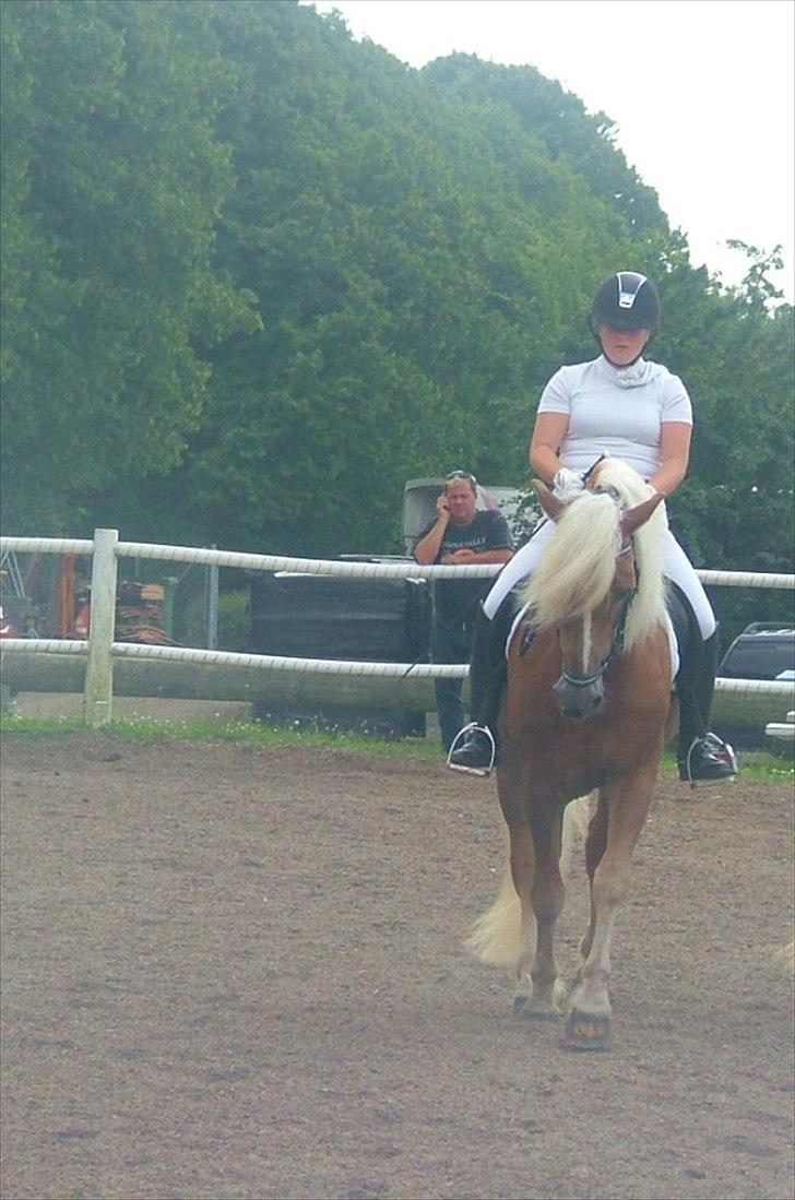 Sara Haupt & William HAH 19 billede 25