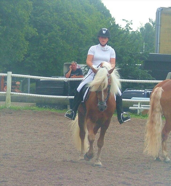 Sara Haupt & William HAH 19 billede 26