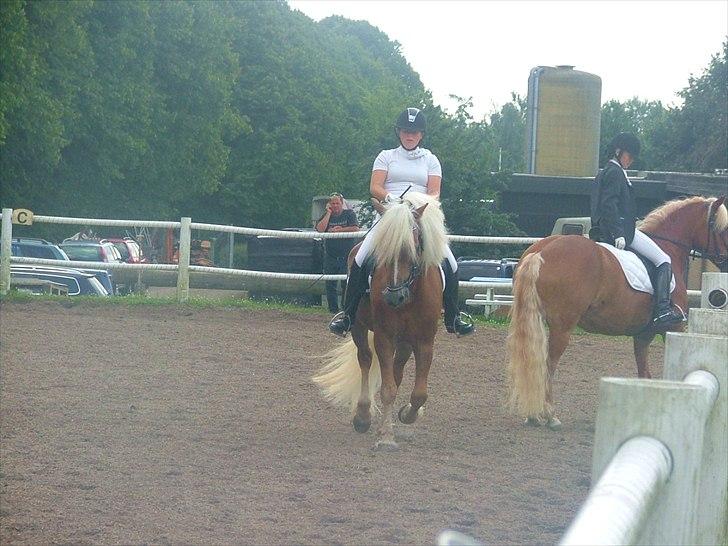 Sara Haupt & William HAH 19 billede 27