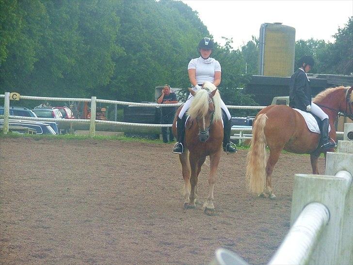 Sara Haupt & William HAH 19 billede 28