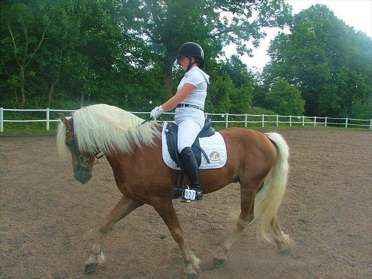 Sara Haupt & William HAH 19 billede 29