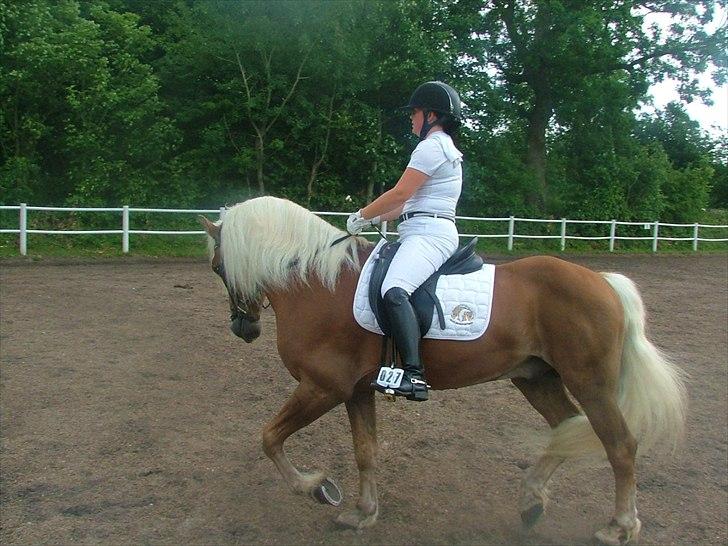 Sara Haupt & William HAH 19 billede 30