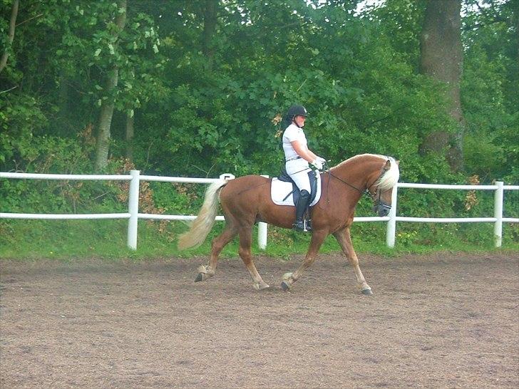Sara Haupt & William HAH 19 billede 31