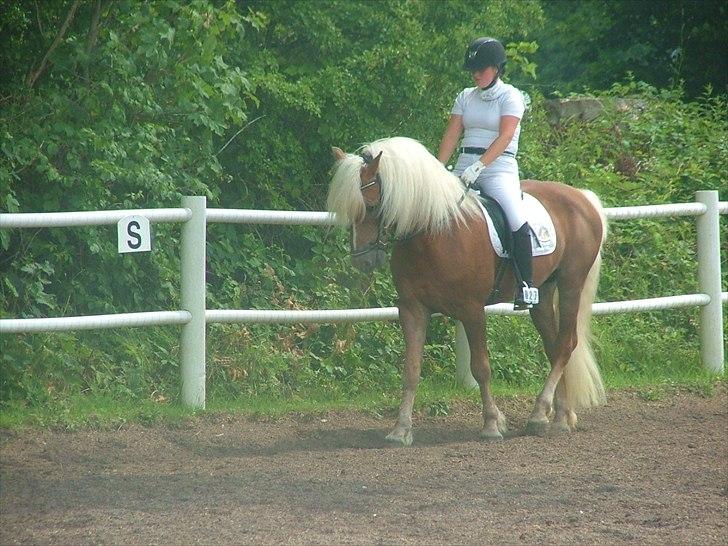 Sara Haupt & William HAH 19 billede 32