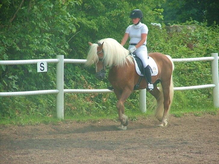 Sara Haupt & William HAH 19 billede 33