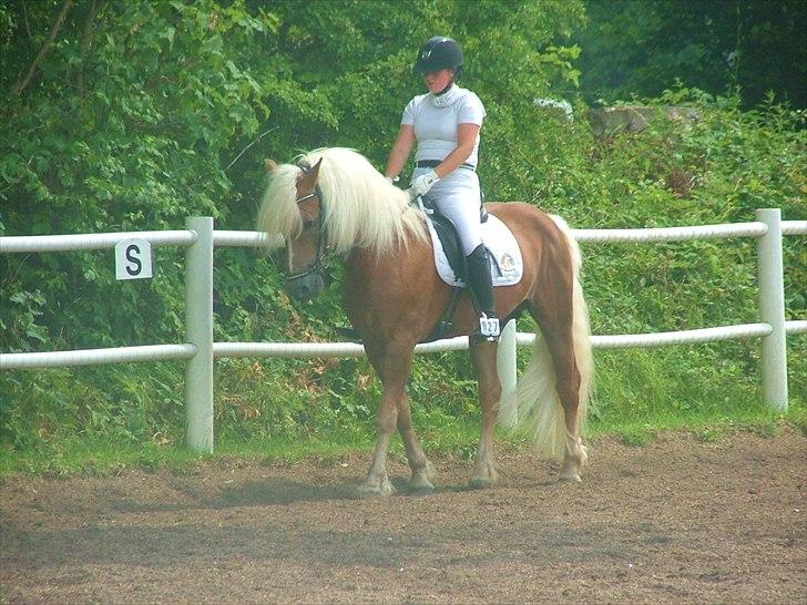 Sara Haupt & William HAH 19 billede 34