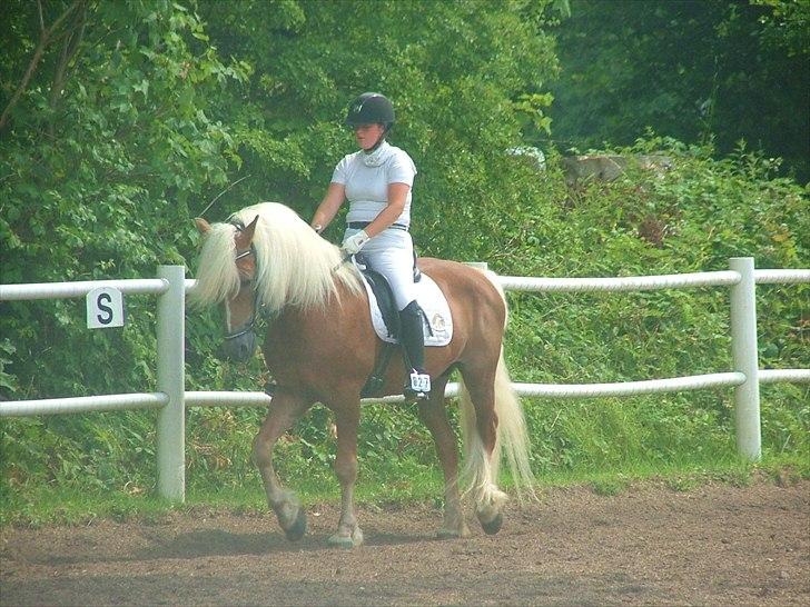 Sara Haupt & William HAH 19 billede 35