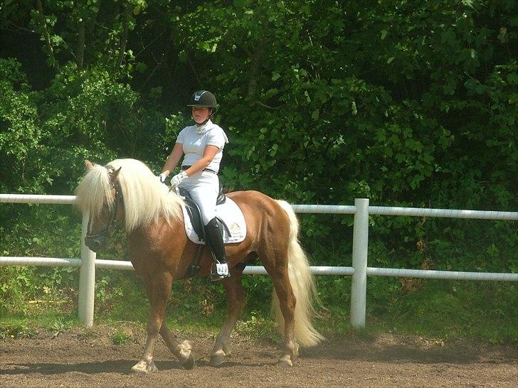Sara Haupt & William HAH 19 billede 36