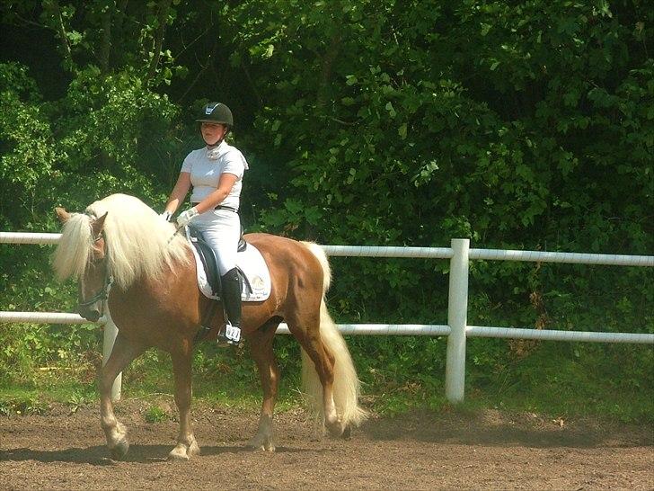 Sara Haupt & William HAH 19 billede 37