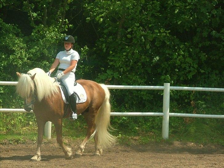 Sara Haupt & William HAH 19 billede 38