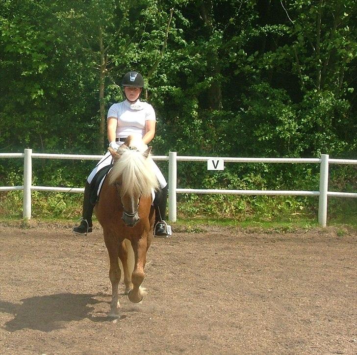 Sara Haupt & William HAH 19 billede 39
