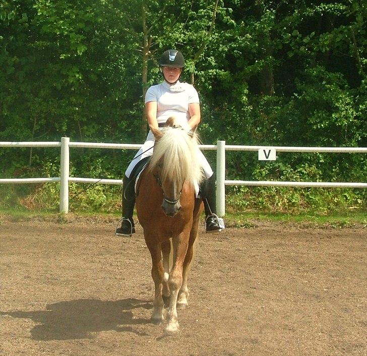 Sara Haupt & William HAH 19 billede 40