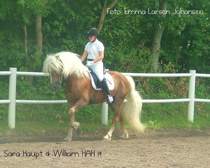 Sara Haupt & William HAH 19 billede 41