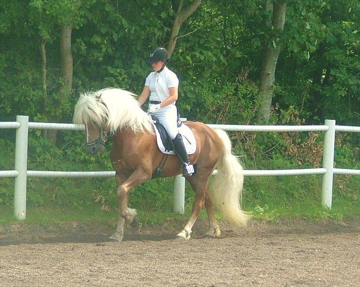 Sara Haupt & William HAH 19 billede 42