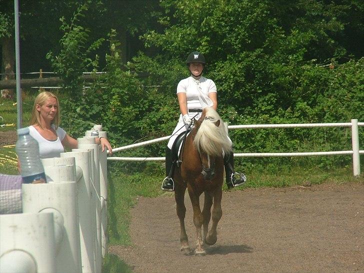 Sara Haupt & William HAH 19 billede 43