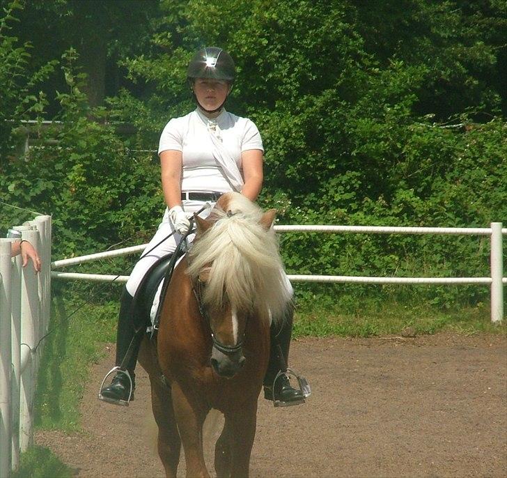 Sara Haupt & William HAH 19 billede 44