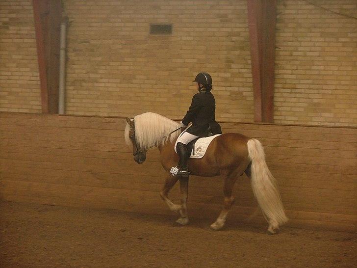 Sara Haupt & William HAH 19 billede 45