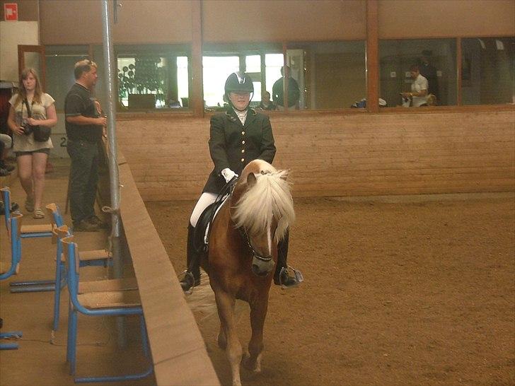 Sara Haupt & William HAH 19 billede 46