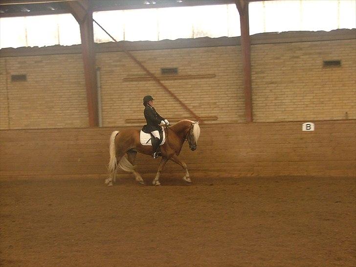 Sara Haupt & William HAH 19 billede 47