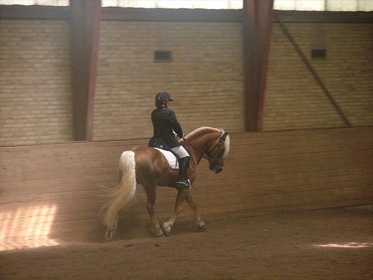 Sara Haupt & William HAH 19 billede 48
