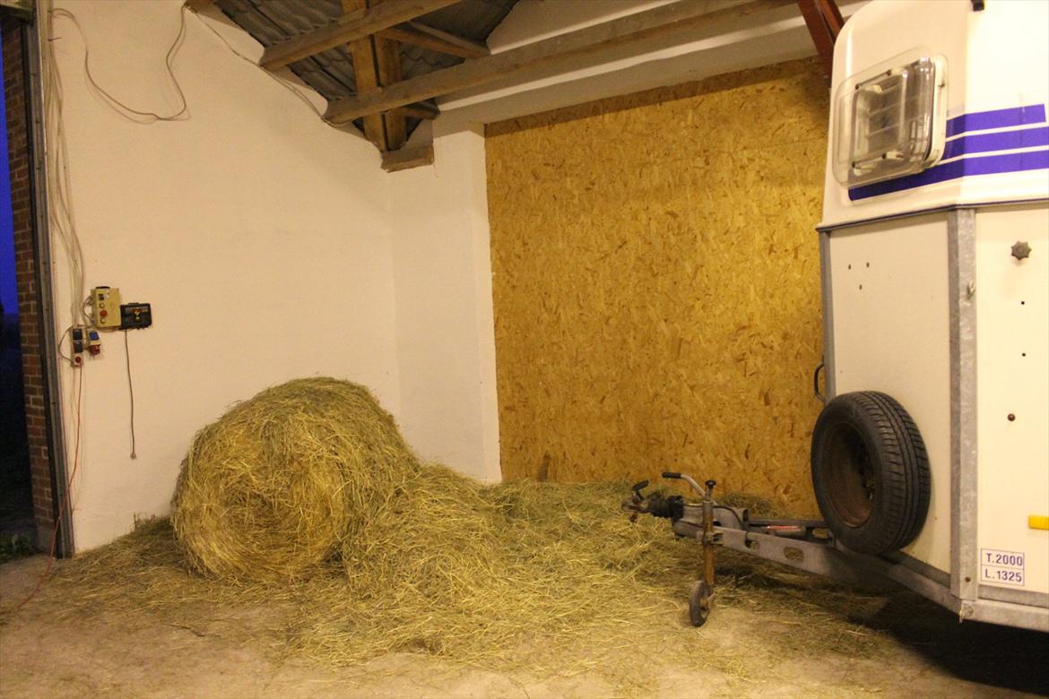 Min nye hestestald - Væggene er malet færdige. :)  billede 16