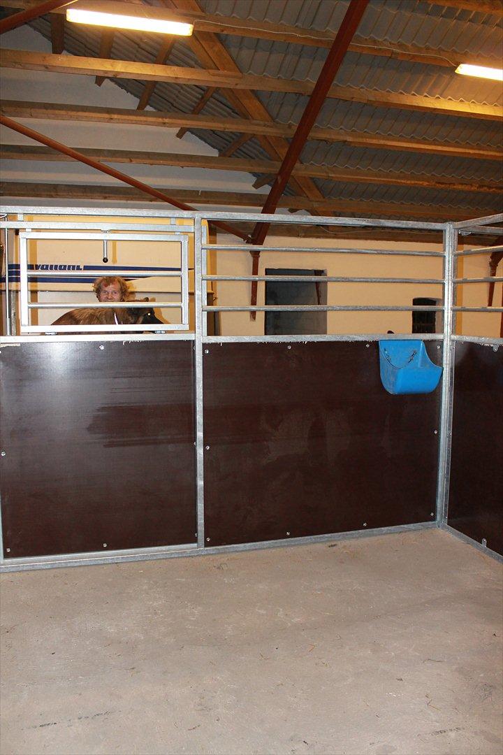 Min nye hestestald billede 21