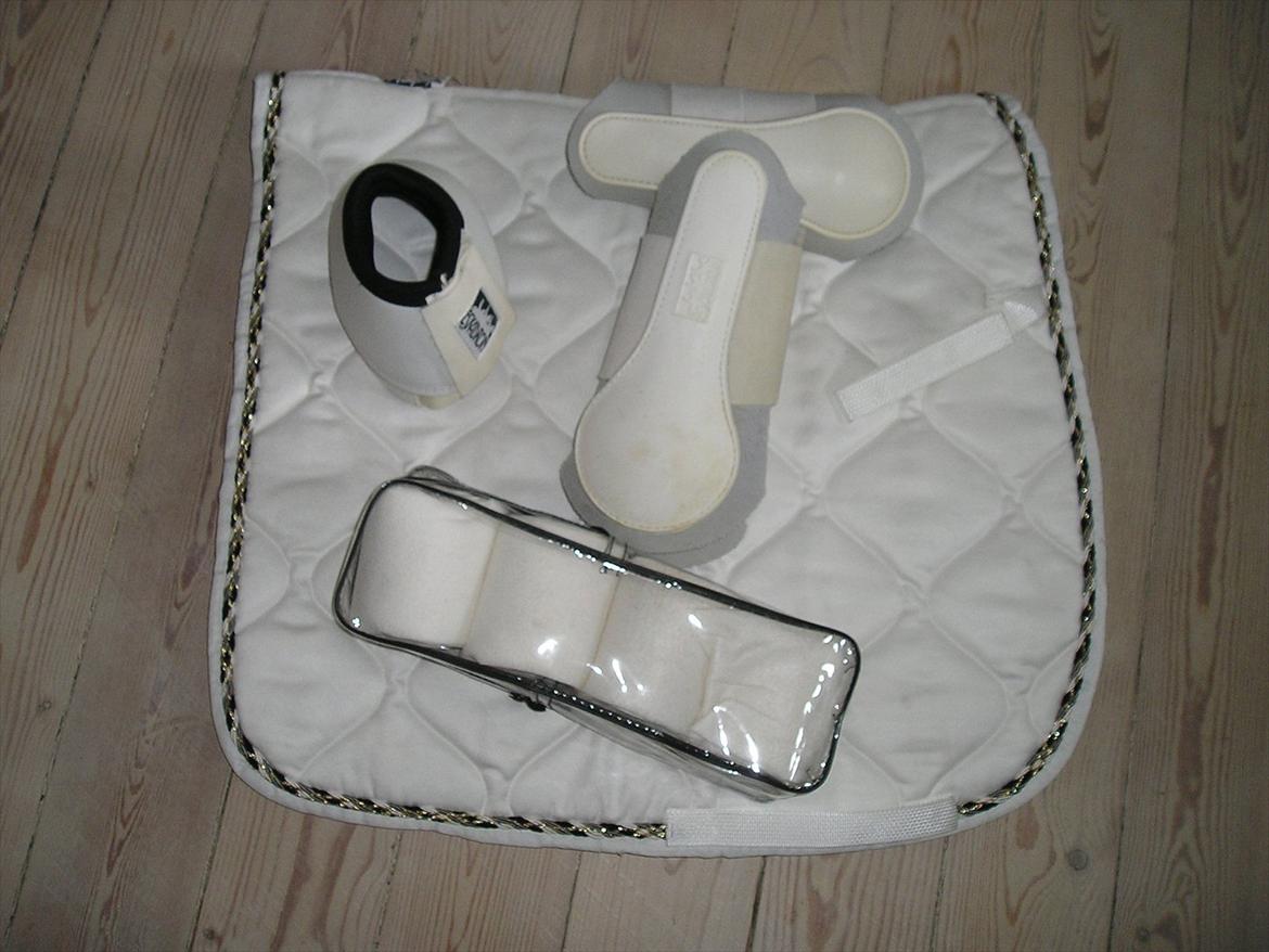 Samba´s udstyr - Eskadron luxsus +eskadron klokker + eskadron gamascher +  bandager billede 17