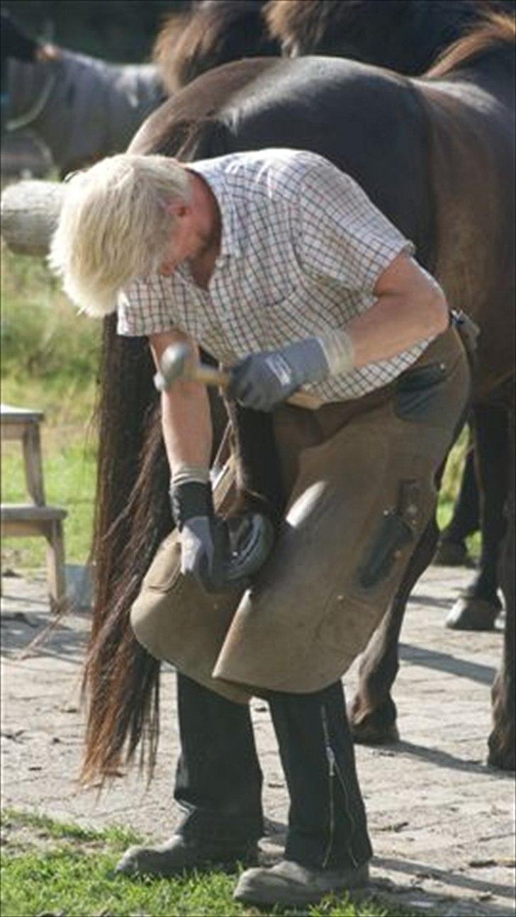 Tur ridning langs stranden i Skagen. billede 3