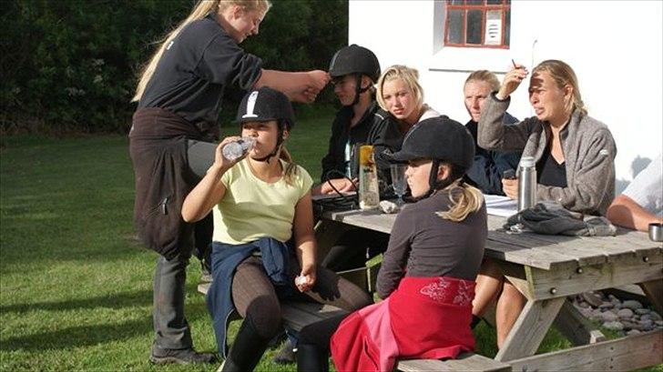 Tur ridning langs stranden i Skagen. billede 8