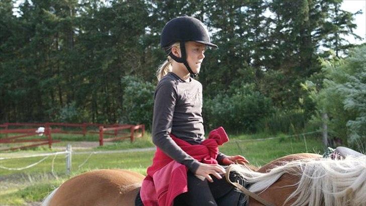 Tur ridning langs stranden i Skagen. billede 17