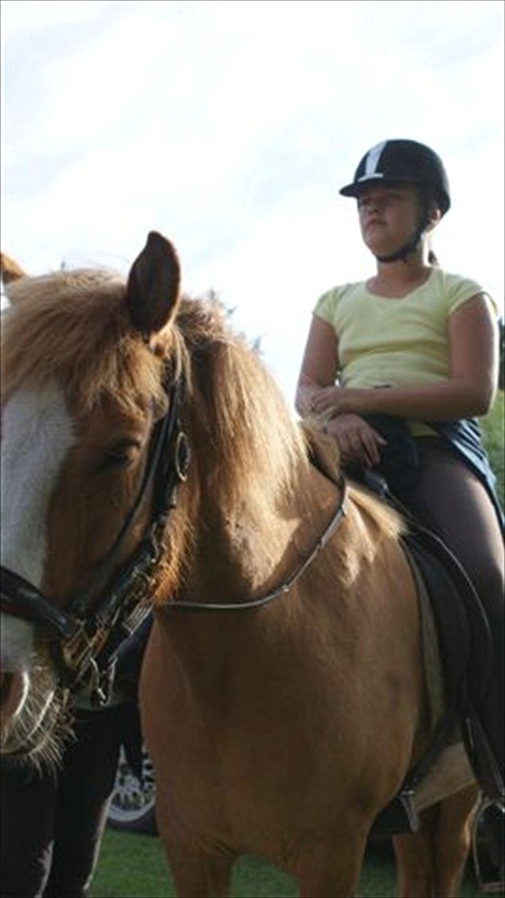 Tur ridning langs stranden i Skagen. billede 18