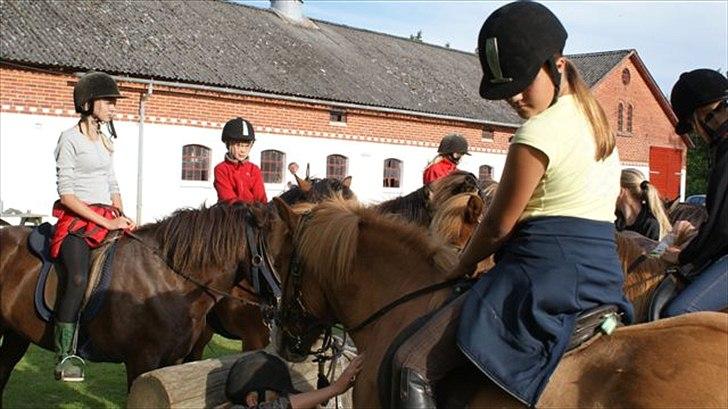 Tur ridning langs stranden i Skagen. billede 19