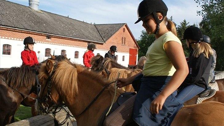 Tur ridning langs stranden i Skagen. billede 20