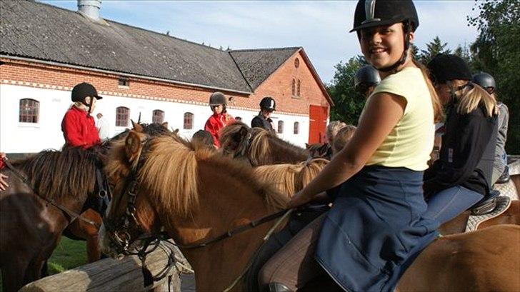 Tur ridning langs stranden i Skagen. billede 21