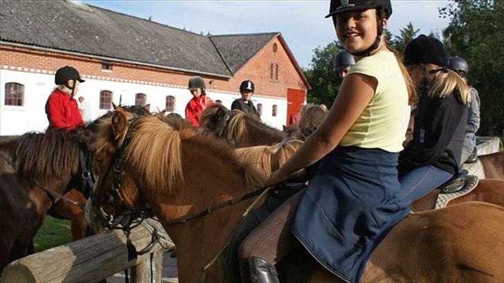 Tur ridning langs stranden i Skagen. billede 22
