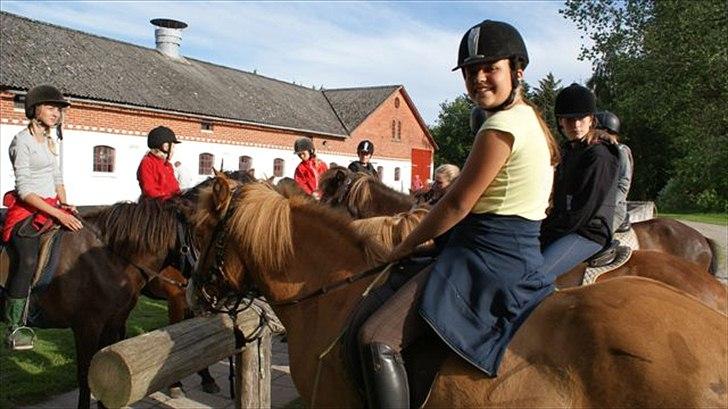 Tur ridning langs stranden i Skagen. billede 23