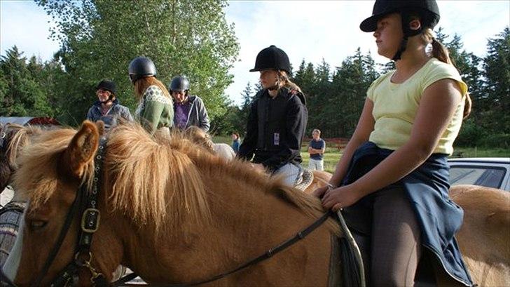 Tur ridning langs stranden i Skagen. billede 24