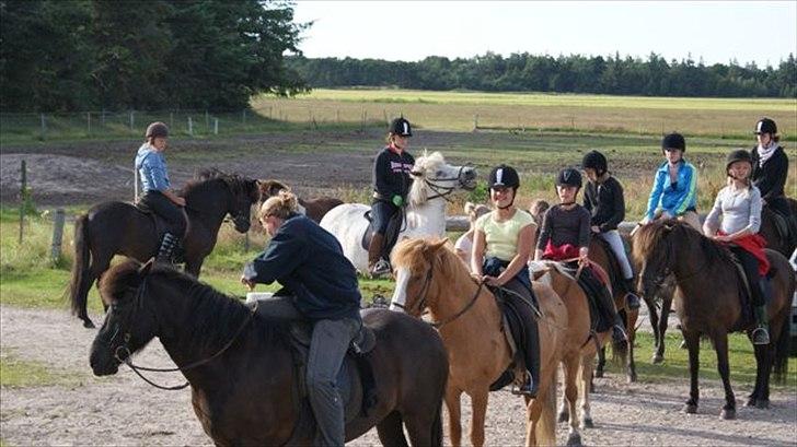 Tur ridning langs stranden i Skagen. billede 25