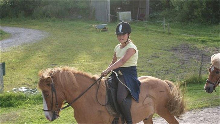 Tur ridning langs stranden i Skagen. billede 26