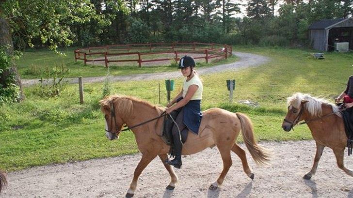 Tur ridning langs stranden i Skagen. billede 27