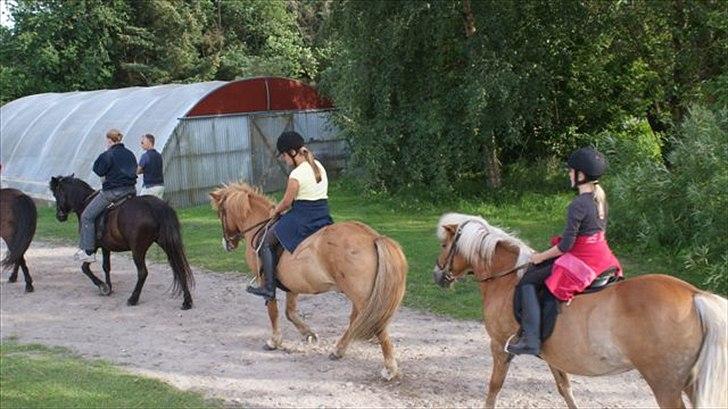 Tur ridning langs stranden i Skagen. billede 28