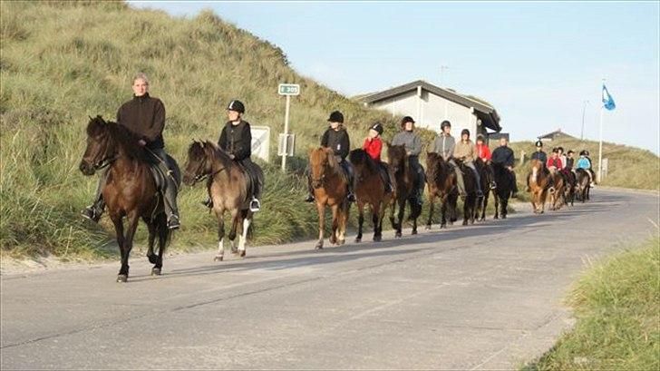 Tur ridning langs stranden i Skagen. billede 29
