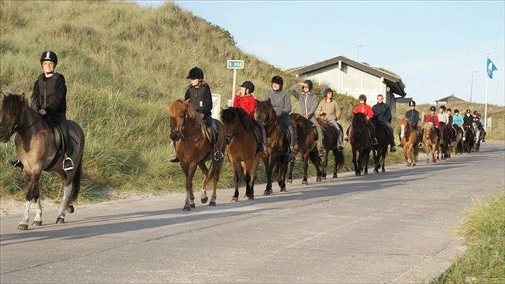 Tur ridning langs stranden i Skagen. billede 30