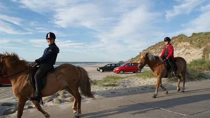 Tur ridning langs stranden i Skagen. billede 31