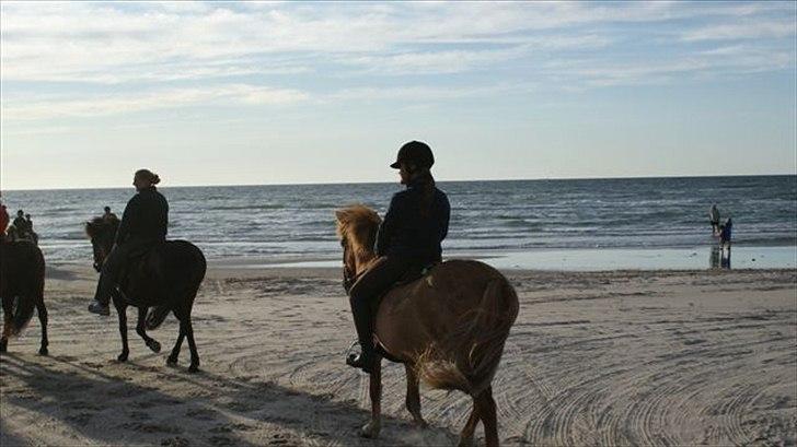 Tur ridning langs stranden i Skagen. billede 32