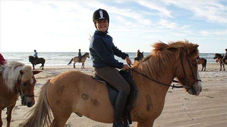 Tur ridning langs stranden i Skagen. billede 34