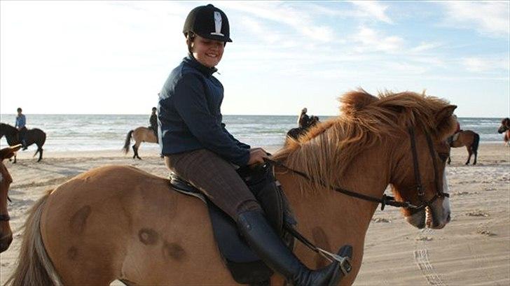 Tur ridning langs stranden i Skagen. billede 35