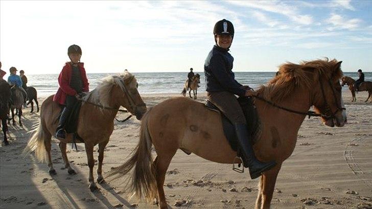 Tur ridning langs stranden i Skagen. billede 36