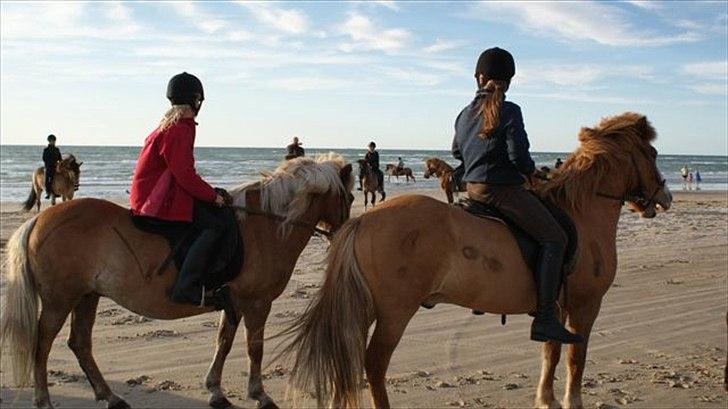 Tur ridning langs stranden i Skagen. billede 37